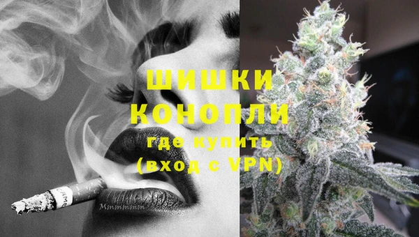стаф Аркадак