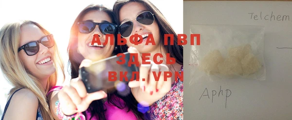стаф Аркадак
