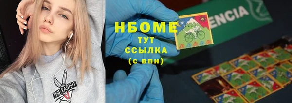 стаф Аркадак