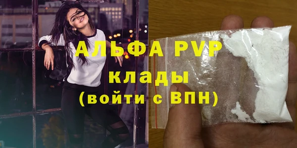 стаф Аркадак